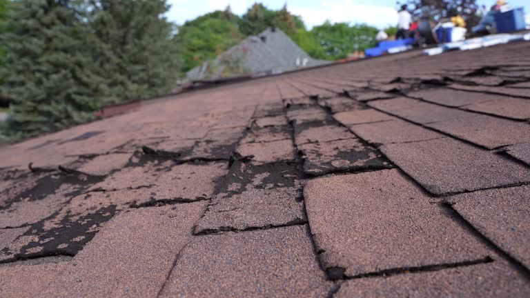 Best Roof Maintenance and Cleaning  in Coloma, MI