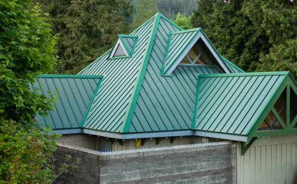 Best Roof Moss and Algae Removal  in Coloma, MI