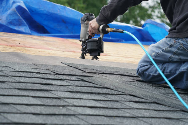 Best Roof Coating and Sealing  in Coloma, MI